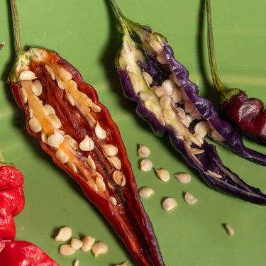 Purple Thai Pepper Seeds - The Pepper Pantry (Formerly Marie Sharp's)